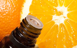 Ефірна олія апельсина добувають з шкірки солодких і гірких плодів шляхом холодного віджиму