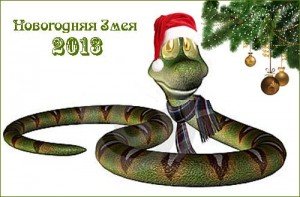 Крім цього, змія не терпить суєти, і тому Новий 2013 рік, найкраще провести в колі сім'ї, і не далеко від будинку