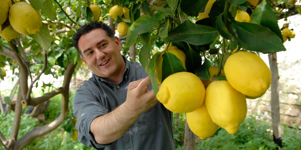 Велику роль відіграє захист від холодних вітрів з допомогою солом'яних споруд, які називаються pagliarelle, навколо лимонних садів